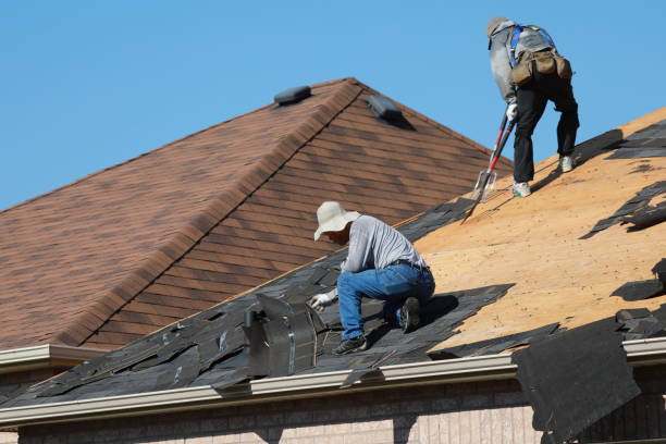 Best Metal Roofing Installation  in Indian Hills, NV